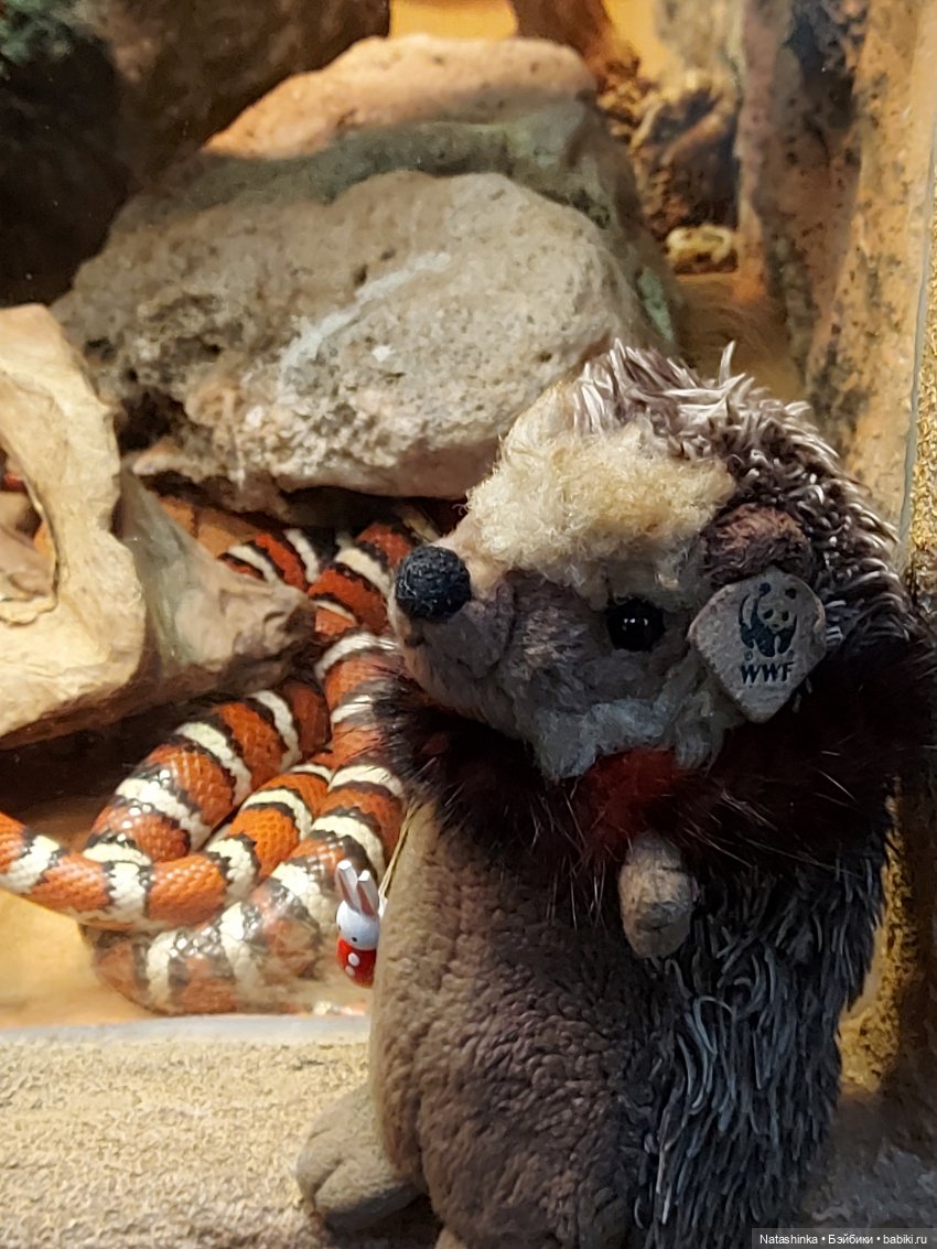 Fashion Dolls 126 — Куклы Звезды подиума (Angel Collection): шарнирные