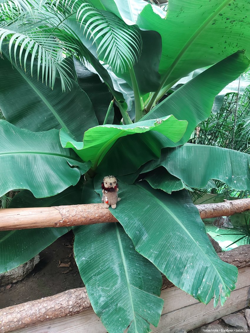 Fashion Dolls 126 — Куклы Звезды подиума (Angel Collection): шарнирные