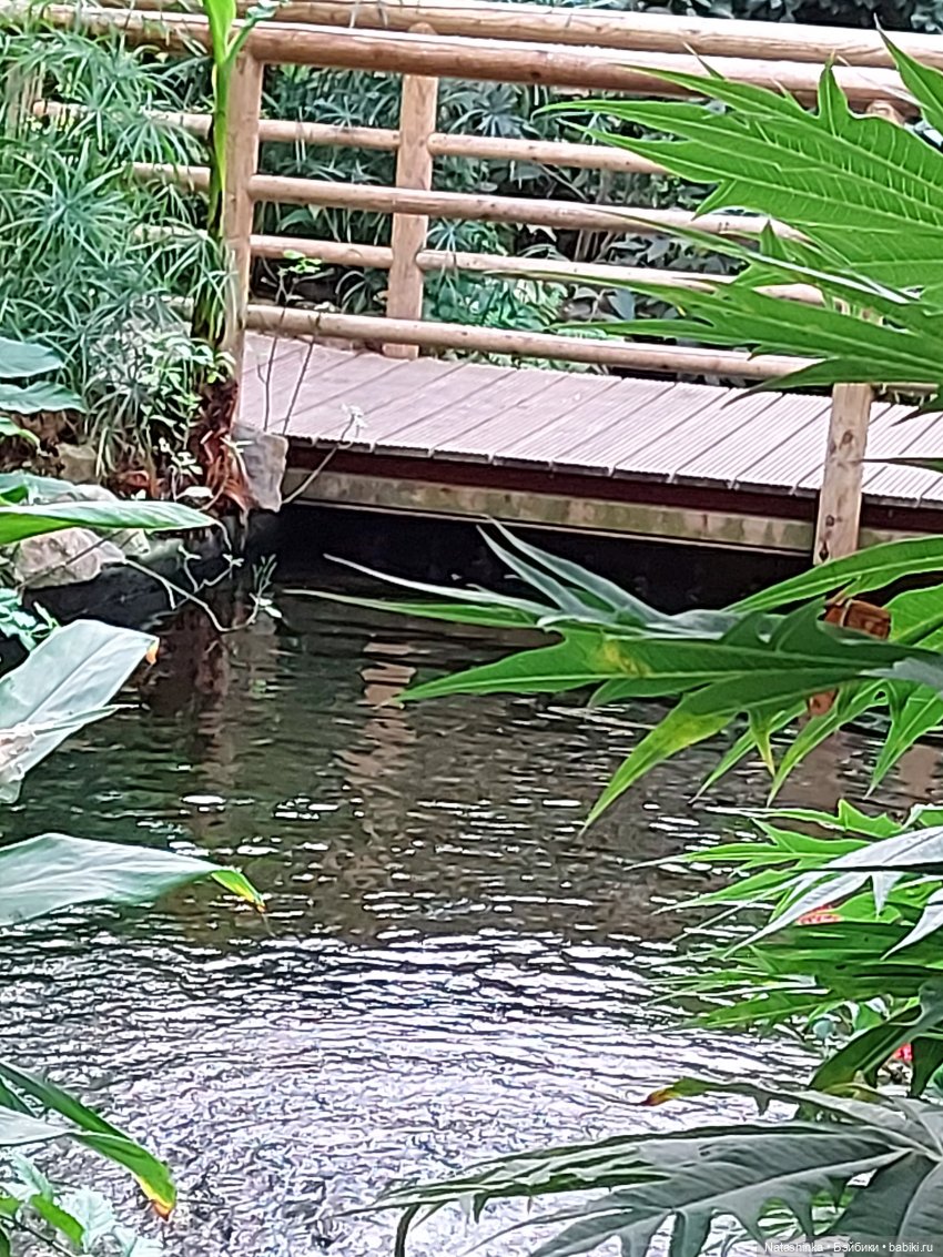 Fashion Dolls 126 — Куклы Звезды подиума (Angel Collection): шарнирные