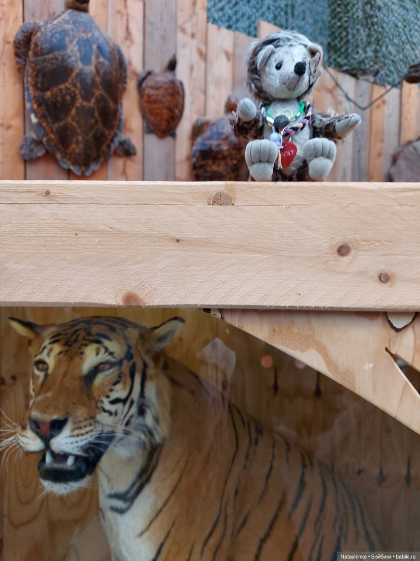 Fashion Dolls 126 — Куклы Звезды подиума (Angel Collection): шарнирные (фото 6)