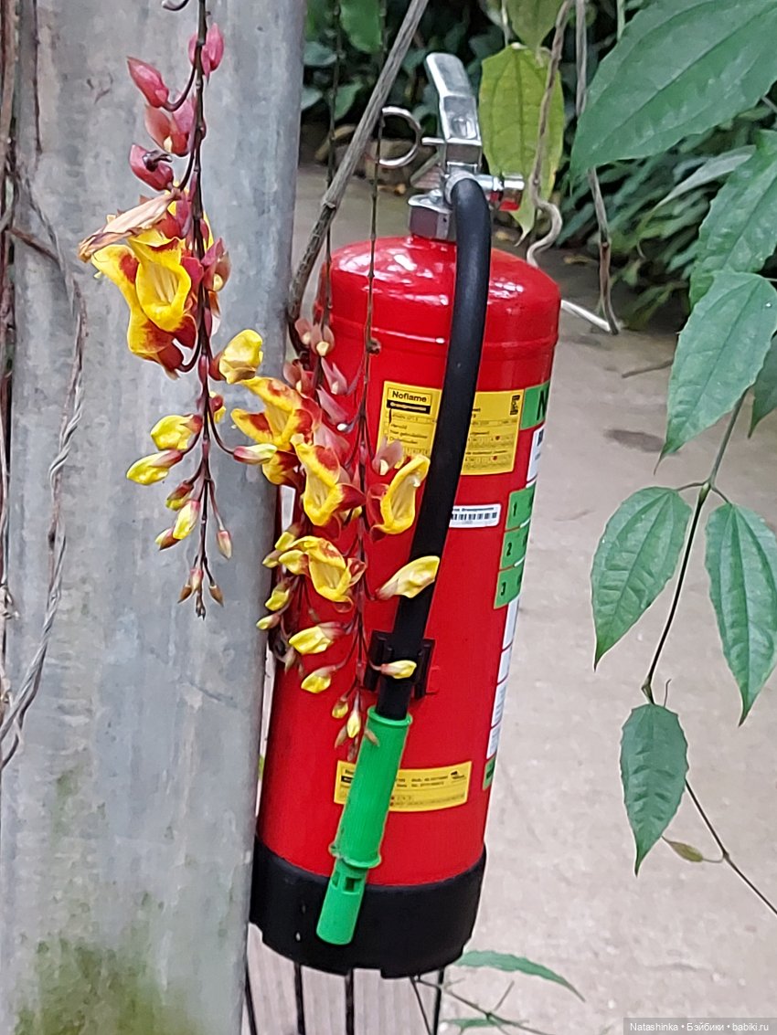 Fashion Dolls 126 — Куклы Звезды подиума (Angel Collection): шарнирные (фото 9)