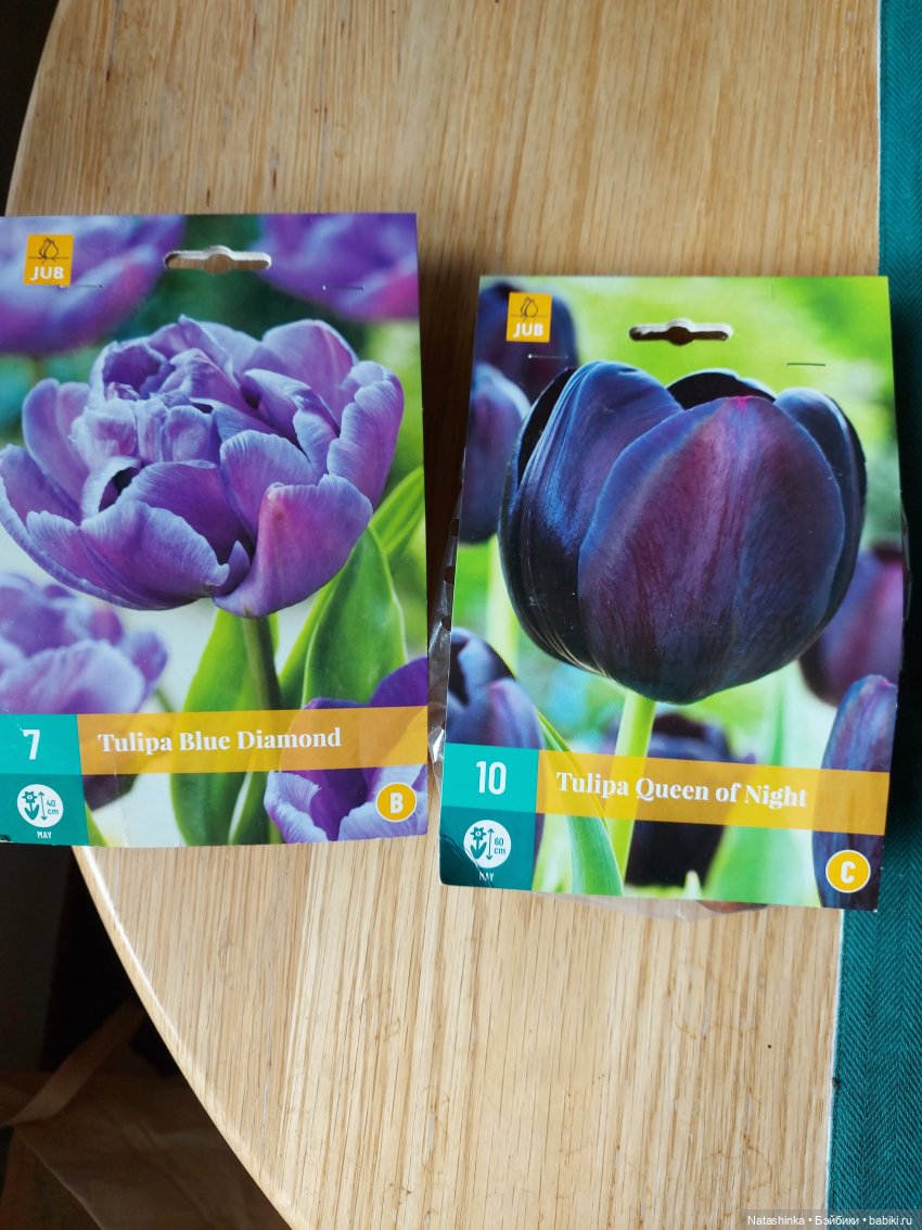 Fashion Dolls 128 — Куклы Звезды подиума (Angel Collection): шарнирные