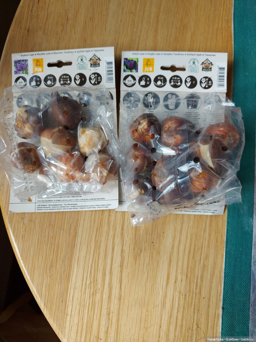 Fashion Dolls 128 — Куклы Звезды подиума (Angel Collection): шарнирные