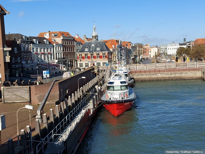 Fashion Dolls 130 — Куклы Звезды подиума (Angel Collection): шарнирные