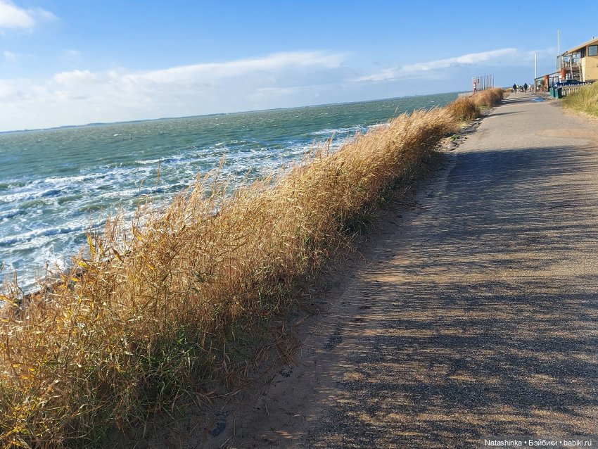 Fashion Dolls 130 — Куклы Звезды подиума (Angel Collection): шарнирные