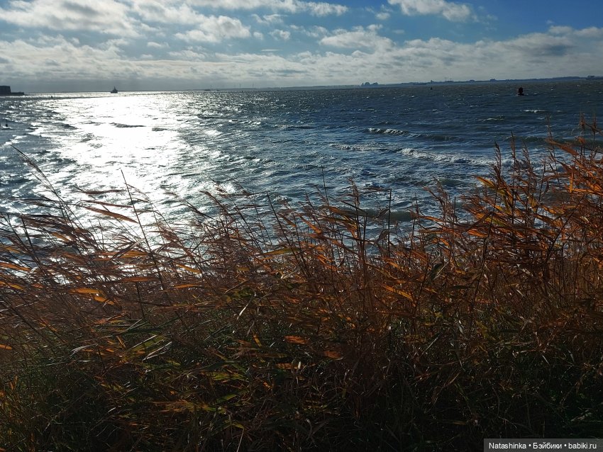 Fashion Dolls 130 — Куклы Звезды подиума (Angel Collection): шарнирные