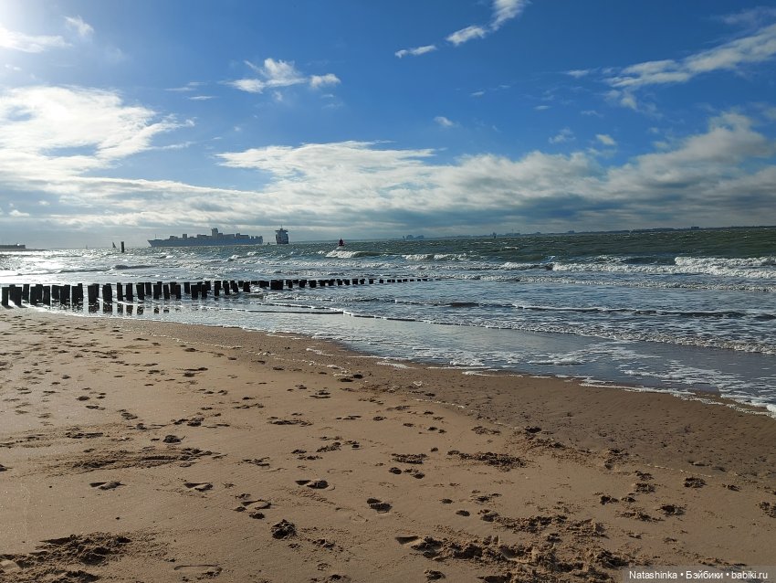 Fashion Dolls 130 — Куклы Звезды подиума (Angel Collection): шарнирные