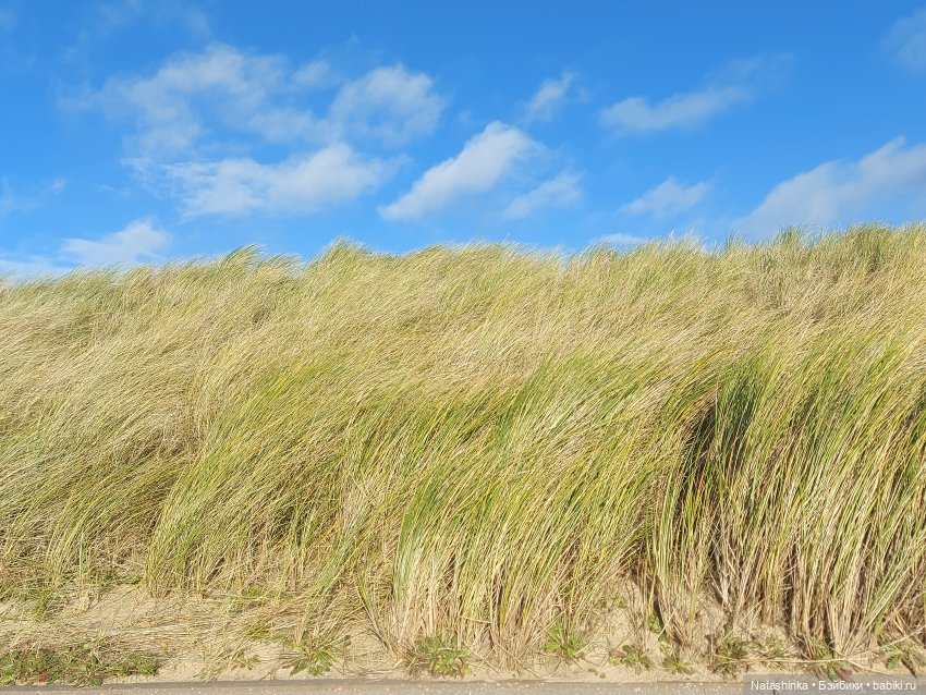 Fashion Dolls 130 — Куклы Звезды подиума (Angel Collection): шарнирные