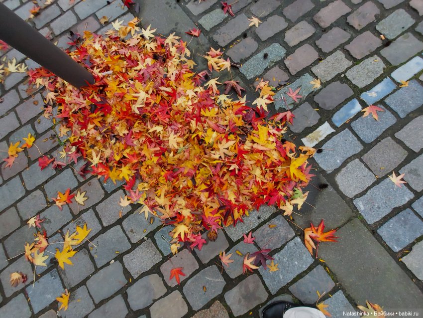 Fashion Dolls 129 — Куклы Звезды подиума (Angel Collection): шарнирные