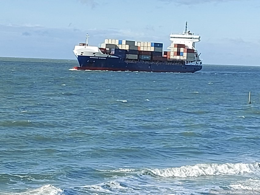 Fashion Dolls 130 — Куклы Звезды подиума (Angel Collection): шарнирные