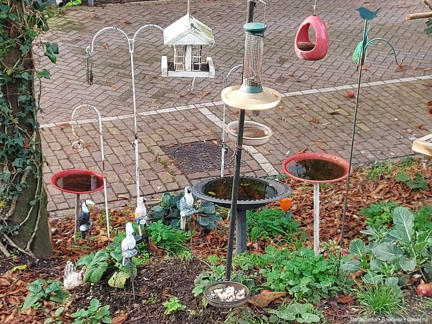 Fashion Dolls 132 — Куклы Звезды подиума (Angel Collection): шарнирные