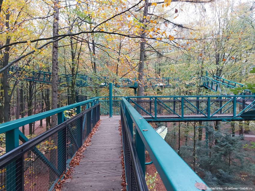 Fashion Dolls 134 — Куклы Звезды подиума (Angel Collection): шарнирные