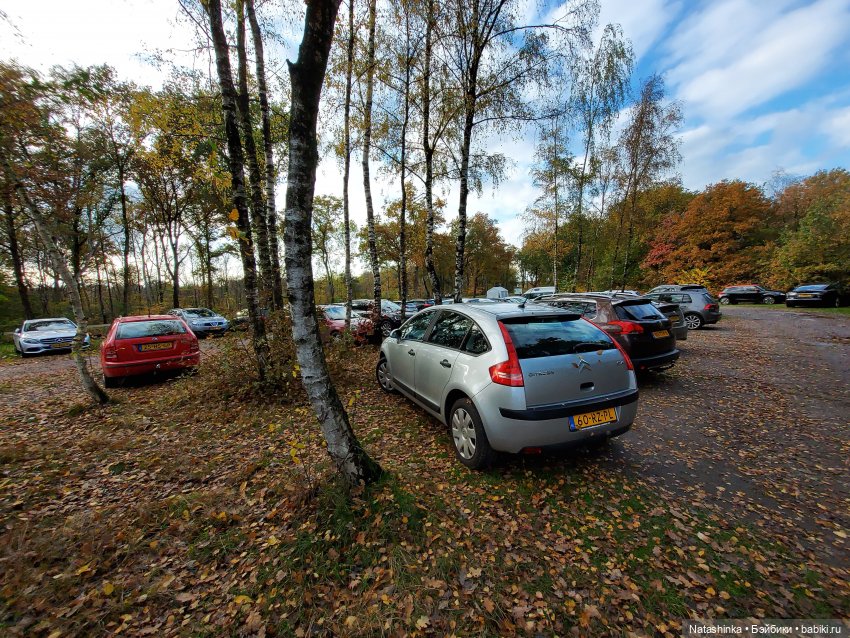 Fashion Dolls 134 — Куклы Звезды подиума (Angel Collection): шарнирные