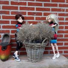 Fashion Dolls  134