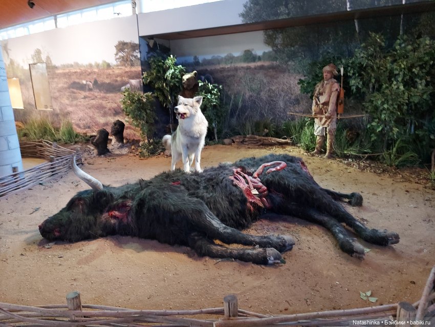 Fashion Dolls 135 — Куклы Звезды подиума (Angel Collection): шарнирные