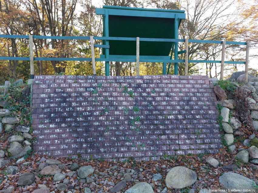 Fashion Dolls 135 — Куклы Звезды подиума (Angel Collection): шарнирные