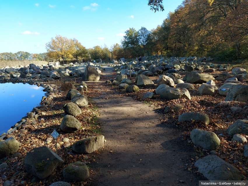 Fashion Dolls 135 — Куклы Звезды подиума (Angel Collection): шарнирные (фото 9)