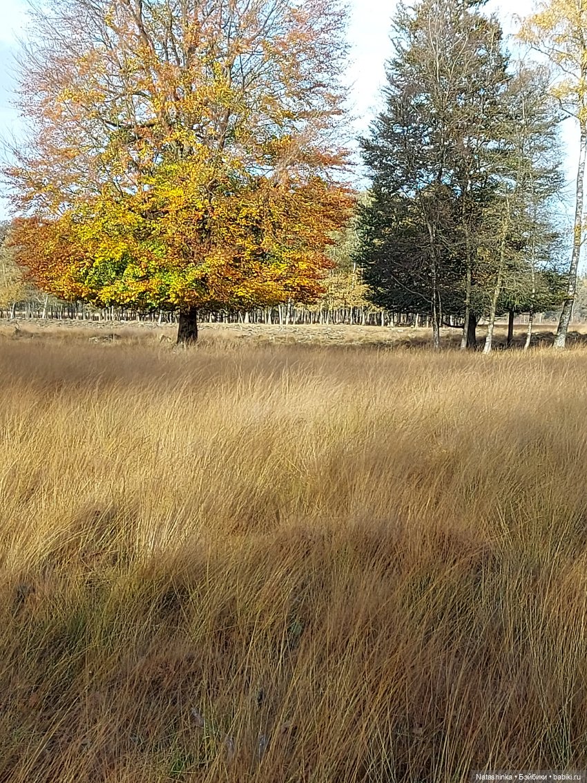 Fashion dolls 136 — Куклы Звезды подиума (Angel Collection): шарнирные