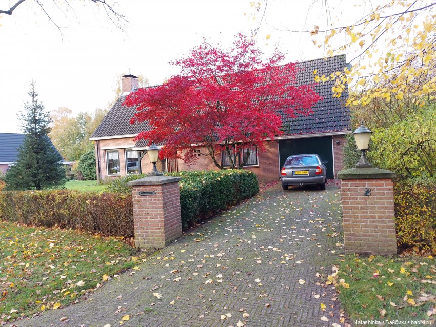 Fashion dolls 136 — Куклы Звезды подиума (Angel Collection): шарнирные