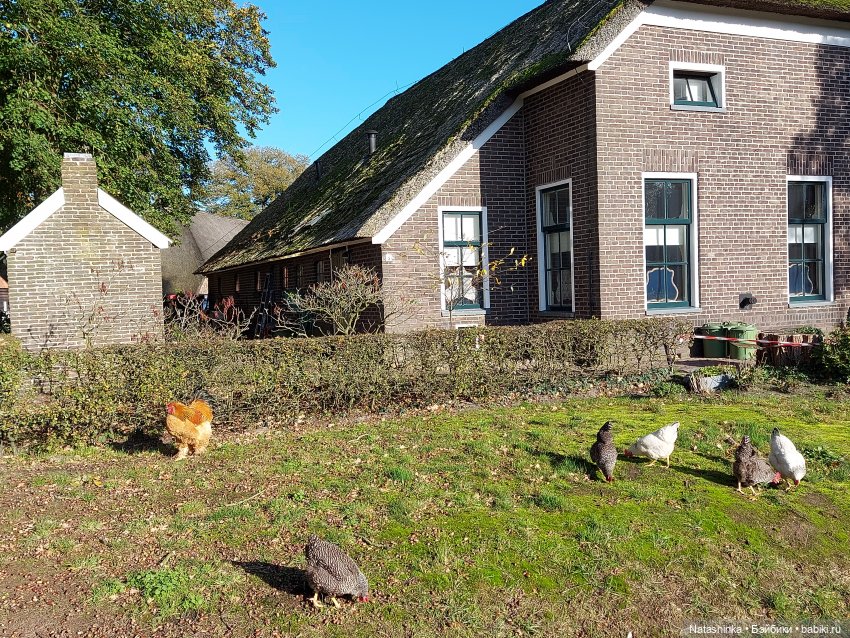 Fashion dolls 136 — Куклы Звезды подиума (Angel Collection): шарнирные