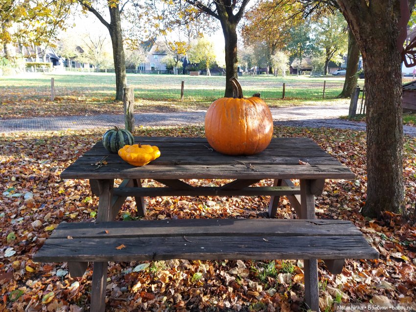 Fashion dolls 136 — Куклы Звезды подиума (Angel Collection): шарнирные