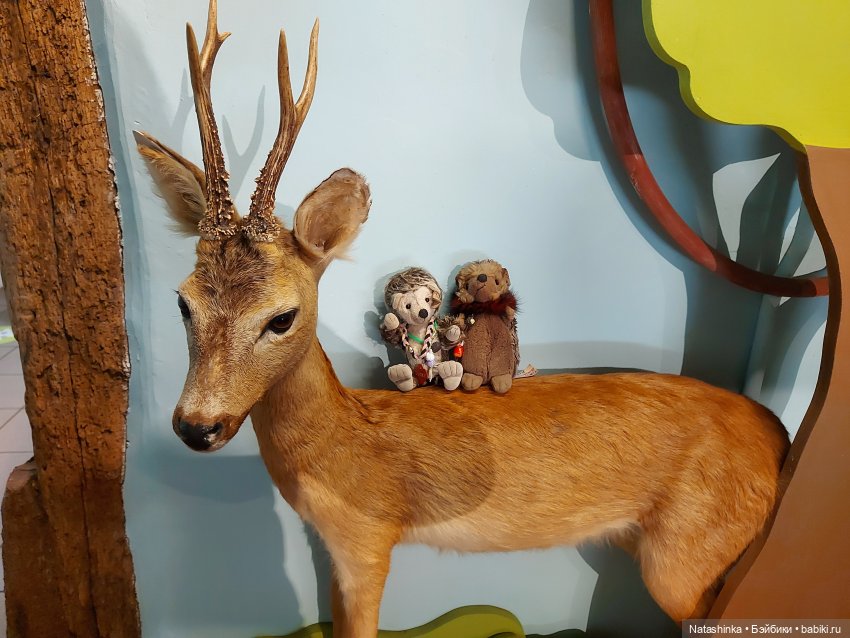 Fashion dolls 136 — Куклы Звезды подиума (Angel Collection): шарнирные (фото 8)