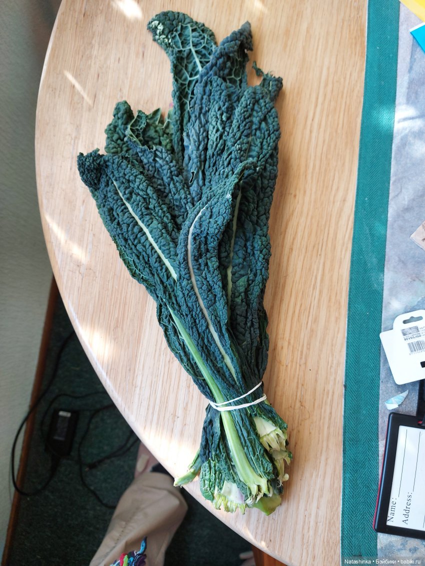 Fashion Dolls 137 — Куклы Звезды подиума (Angel Collection): шарнирные (фото 10)