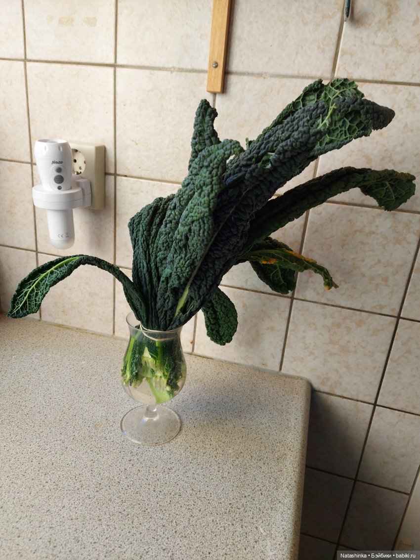 Fashion Dolls 137 — Куклы Звезды подиума (Angel Collection): шарнирные