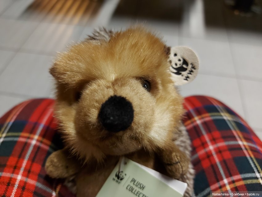 Fashion Dolls 138 — Куклы Звезды подиума (Angel Collection): шарнирные (фото 5)