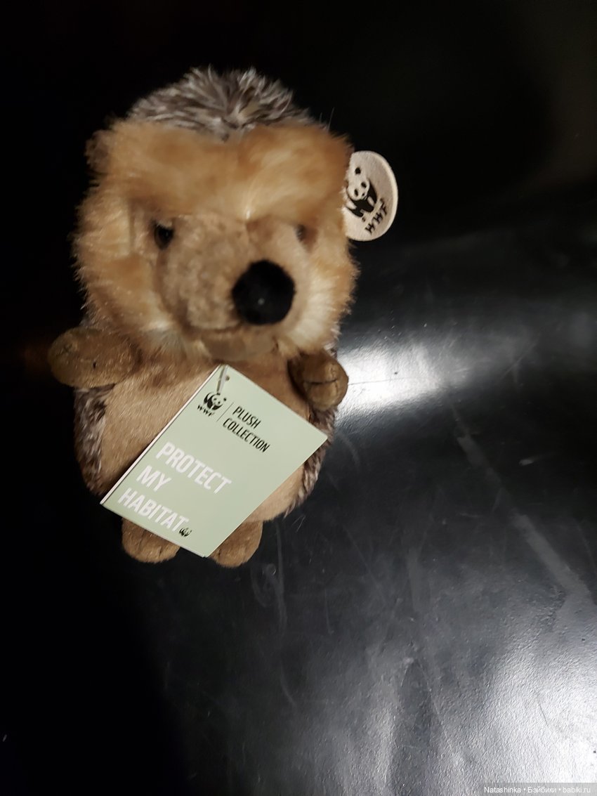 Fashion Dolls 138 — Куклы Звезды подиума (Angel Collection): шарнирные (фото 4)