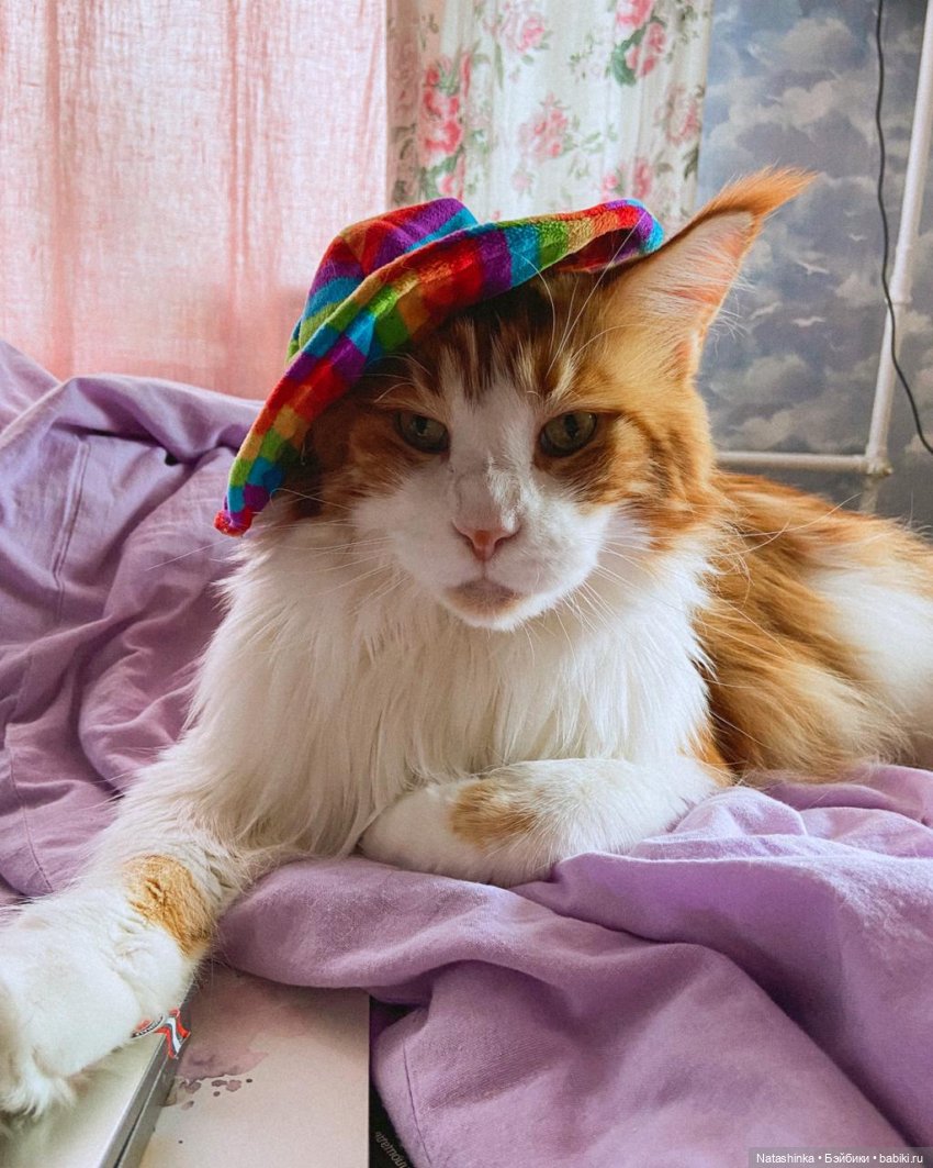 Fashion Dolls 141 — Куклы Звезды подиума (Angel Collection): шарнирные (фото 9)