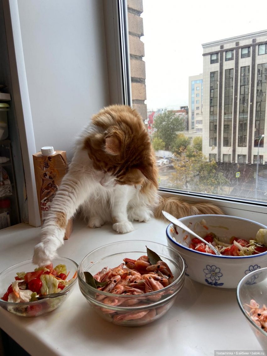 Fashion Dolls 141 — Куклы Звезды подиума (Angel Collection): шарнирные (фото 7)