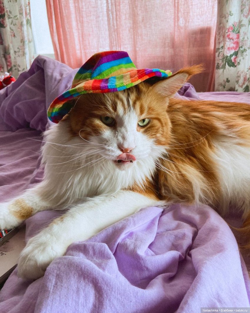 Fashion Dolls 141 — Куклы Звезды подиума (Angel Collection): шарнирные (фото 10)