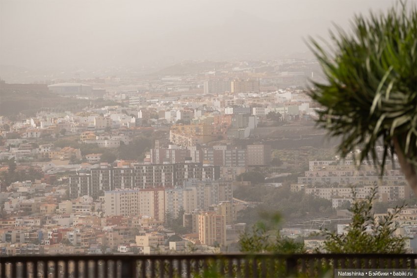 Fashion Dolls 142 — Куклы Звезды подиума (Angel Collection): шарнирные (фото 4)