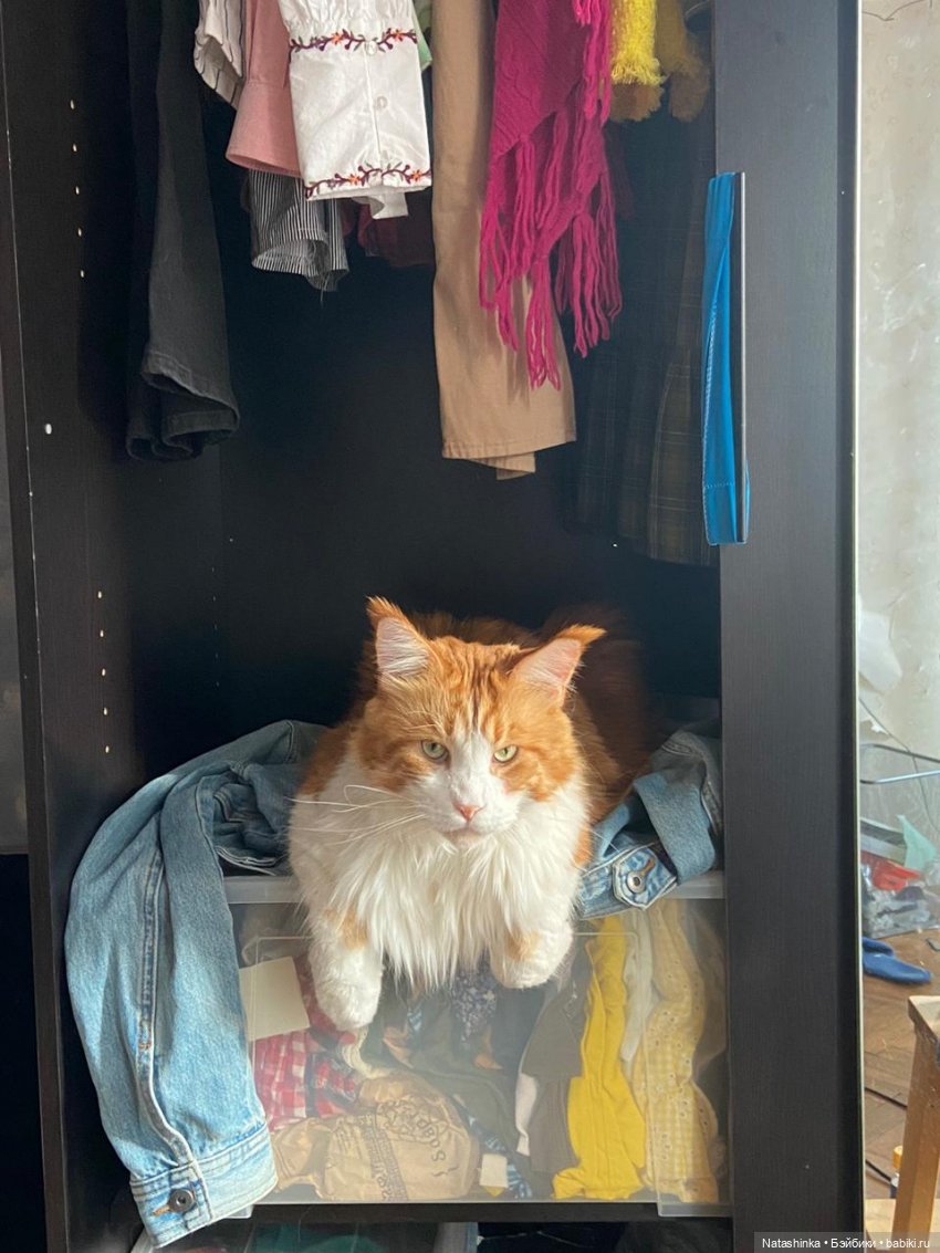 Fashion Dolls 143 — Куклы Звезды подиума (Angel Collection): шарнирные (фото 5)