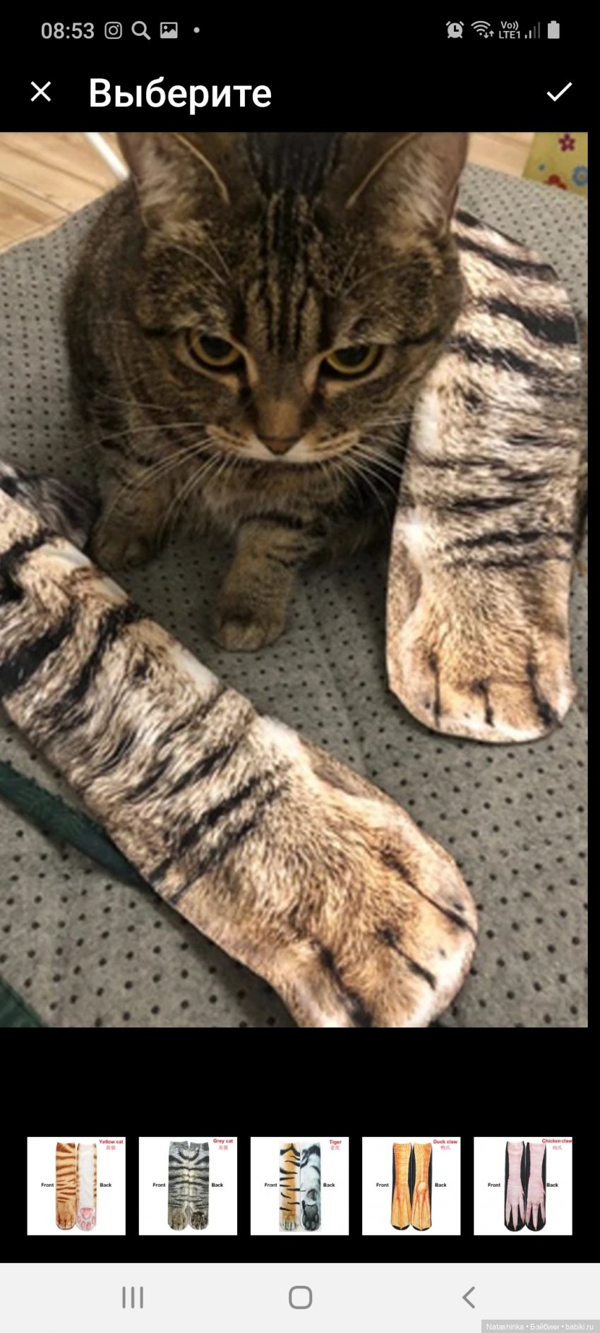 Fashion Dolls 143 — Куклы Звезды подиума (Angel Collection): шарнирные (фото 6)