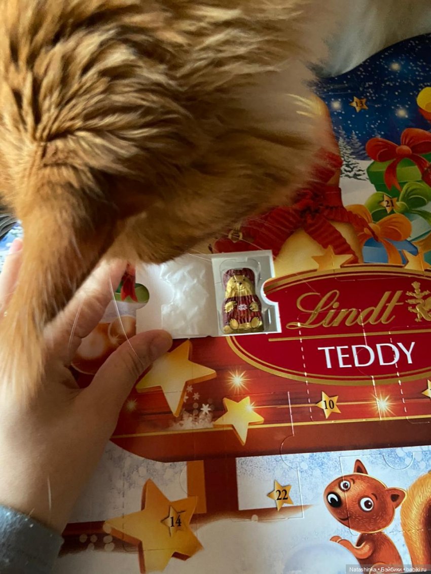 Fashion Dolls 152 — Куклы Звезды подиума (Angel Collection): шарнирные (фото 2)