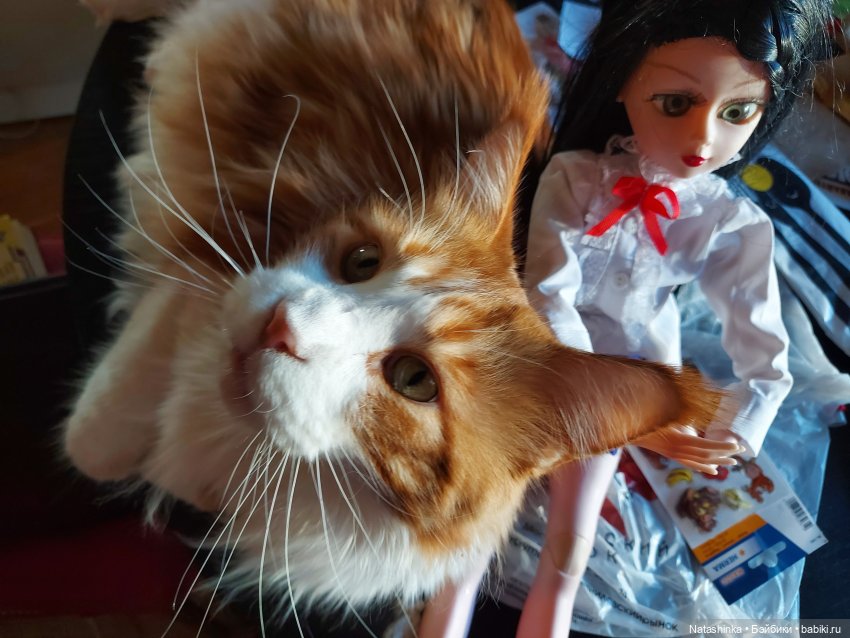 Fashion Dolls155 — Куклы Звезды подиума (Angel Collection): шарнирные (фото 6)