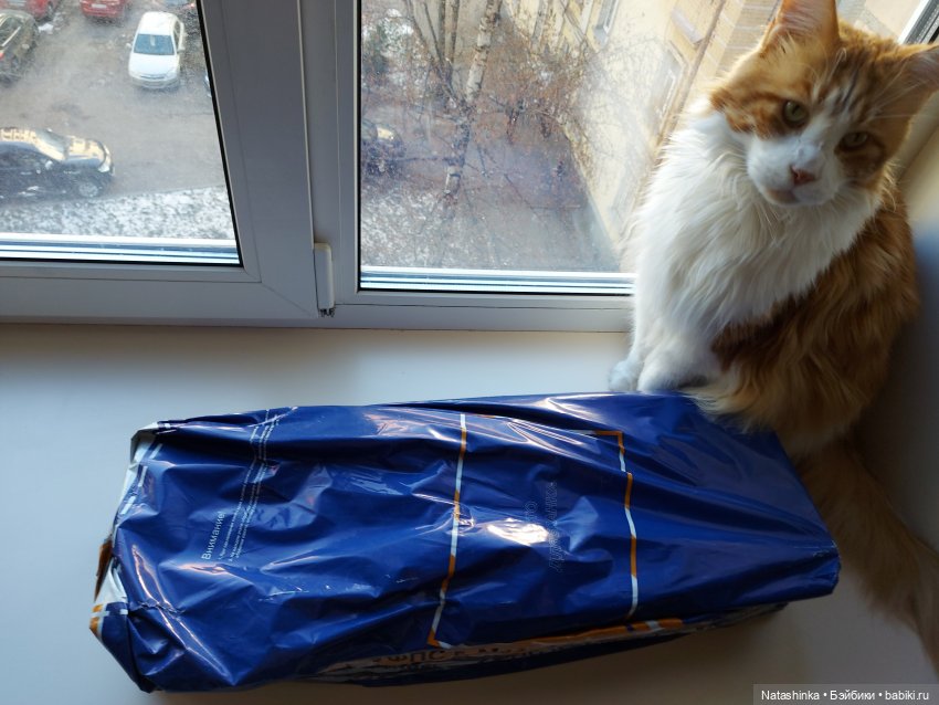 Fashion Dolls 156 — Куклы Звезды подиума (Angel Collection): шарнирные (фото 3)