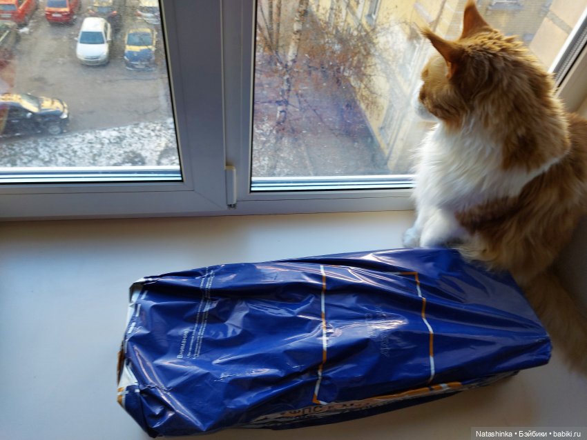 Fashion Dolls 156 — Куклы Звезды подиума (Angel Collection): шарнирные (фото 4)