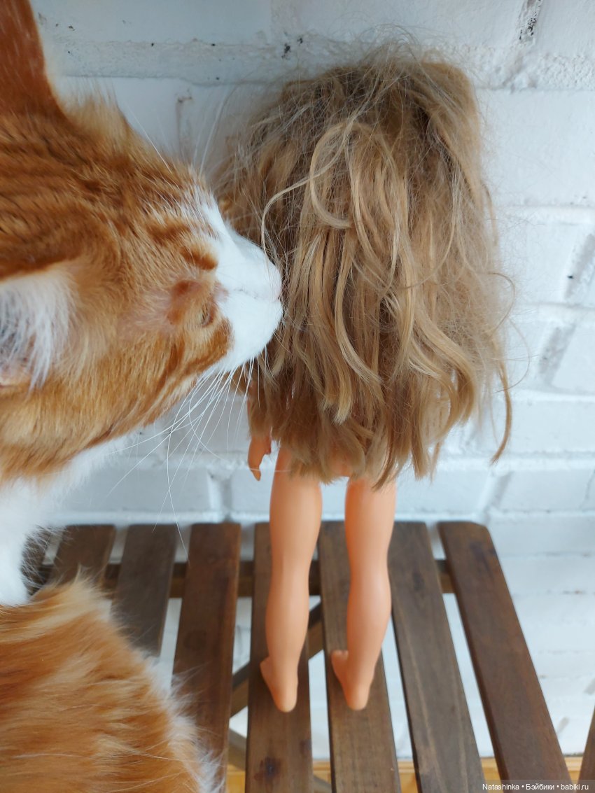 Fashion Dolls167 — Куклы Звезды подиума (Angel Collection): шарнирные (фото 4)