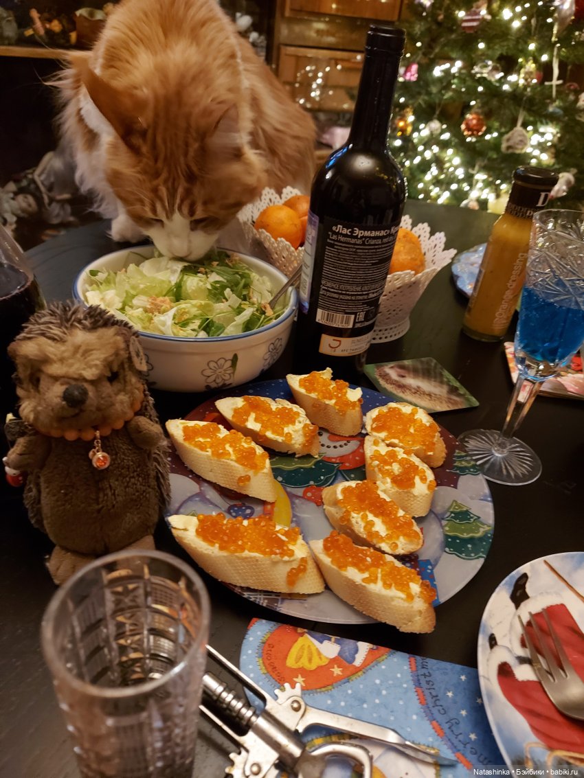 Fashion Dolls175 — Куклы Звезды подиума (Angel Collection): шарнирные (фото 4)