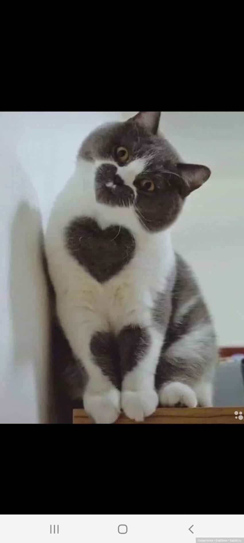 Fashion Dolls 181 — Куклы Звезды подиума (Angel Collection): шарнирные (фото 3)