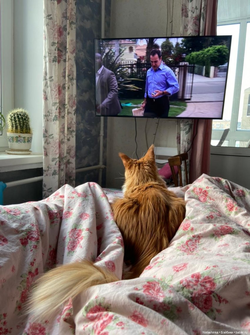 Fashion Dolls 181 — Куклы Звезды подиума (Angel Collection): шарнирные