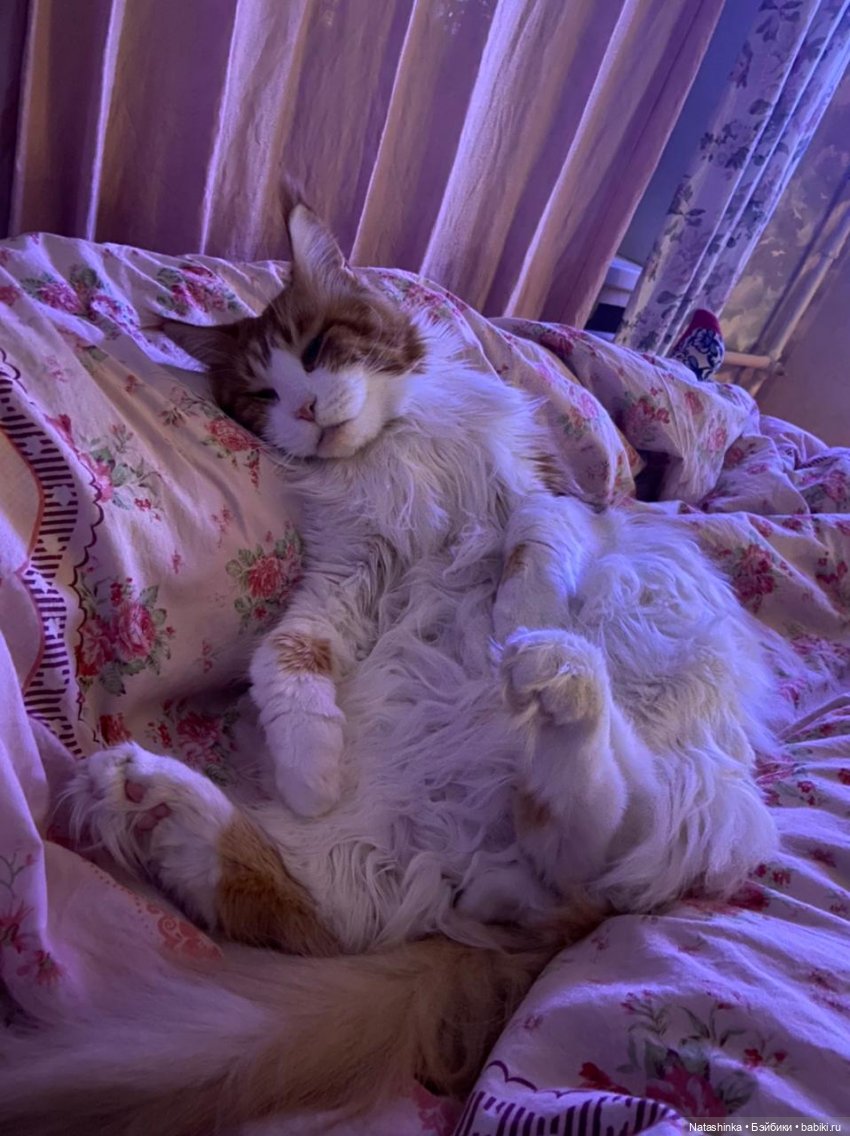 Fashion Dolls 181 — Куклы Звезды подиума (Angel Collection): шарнирные (фото 2)