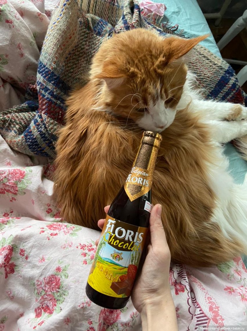 Fashion Dolls 187 — Куклы Звезды подиума (Angel Collection): шарнирные