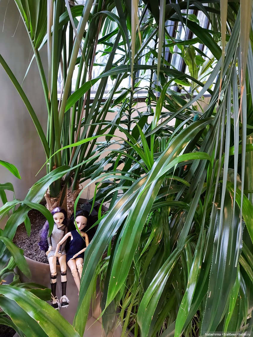 Fashion Dolls 198 — Куклы Звезды подиума (Angel Collection): шарнирные (фото 3)