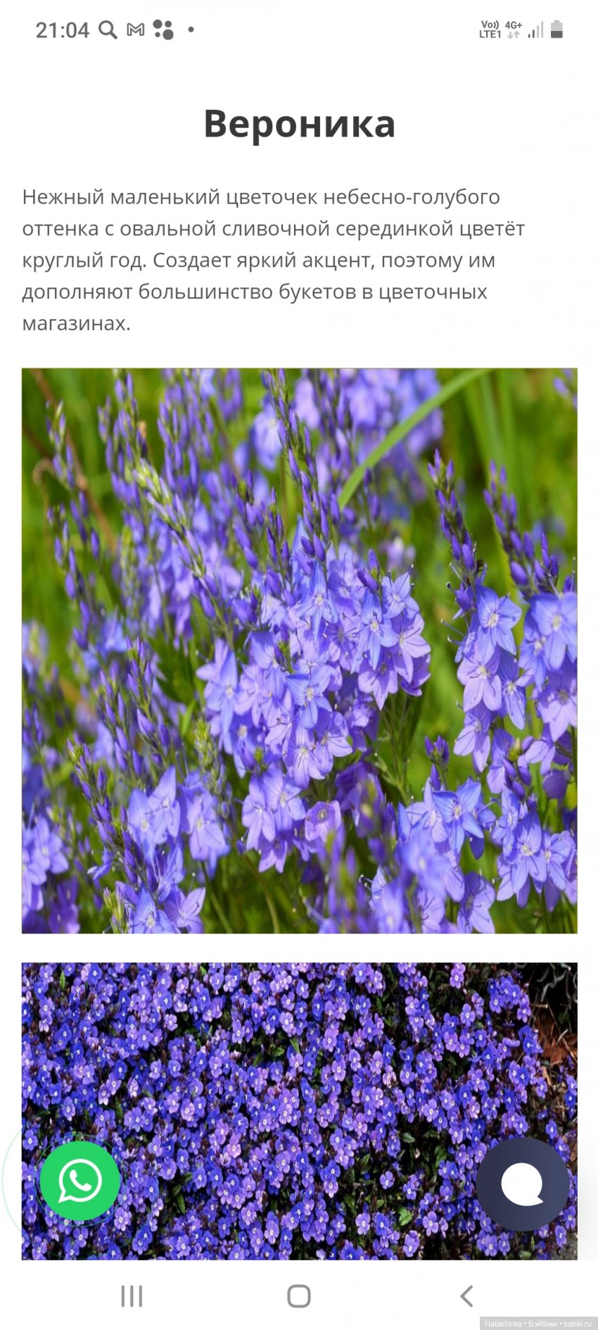 Fashion Dolls 198 — Куклы Звезды подиума (Angel Collection): шарнирные