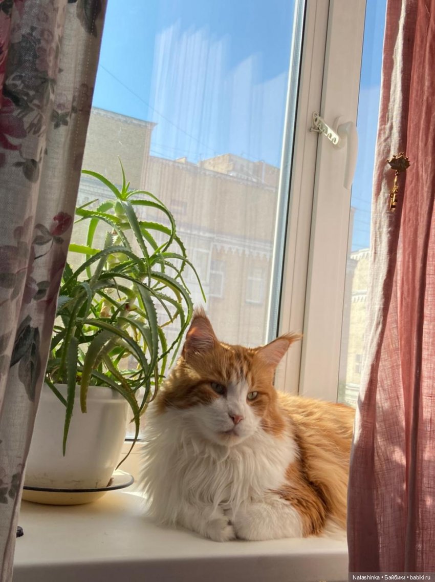 Fashion Dolls 202 — Куклы Звезды подиума (Angel Collection): шарнирные