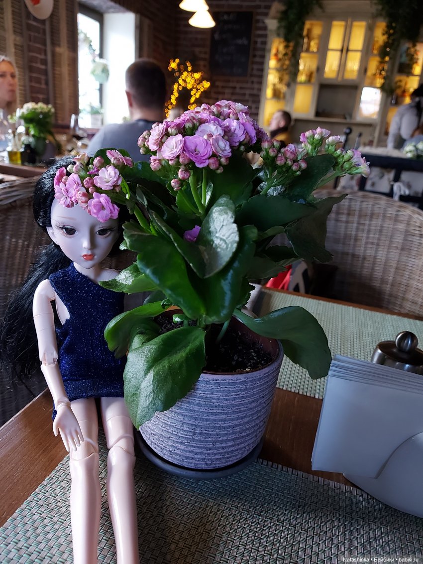 Fashion Dolls 202 — Куклы Звезды подиума (Angel Collection): шарнирные